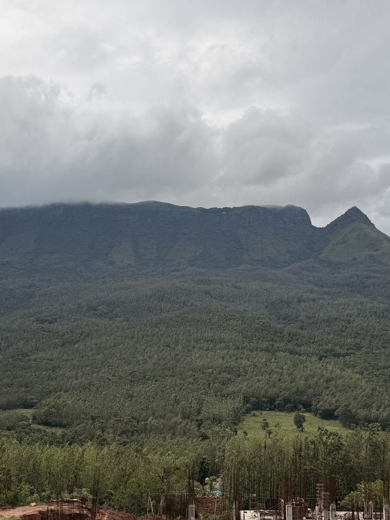 Forested hills near Chikmagalur under low cloud